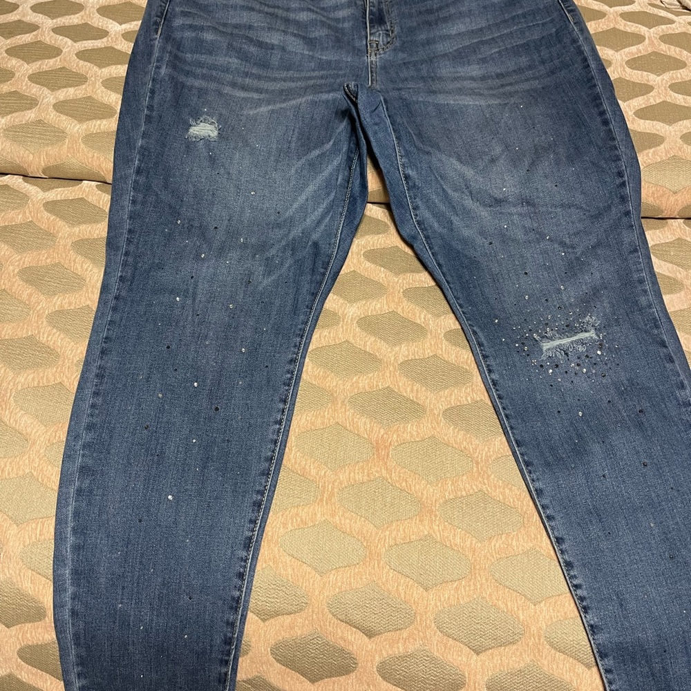 Lane Bryant Embellished Skinny Jean